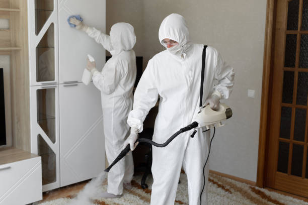 24/7 Emergency Odor Removal experts in Webster, SD