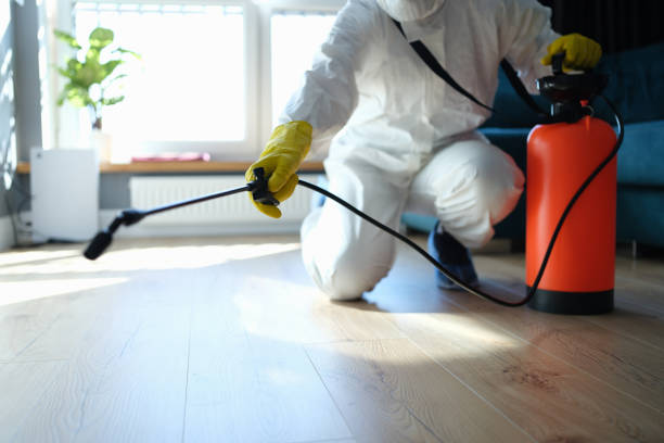 Reliable Odor Removal contractor in Webster, SD by Trauma Clean Pros